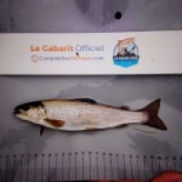 photo prise 8970 par TMV