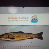 photo prise 8974 par Olivier Debrock