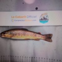 photo prise 8976 par Tib