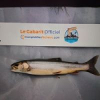 photo prise 9004 par Olivier Debrock