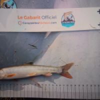 photo prise 9018 par CLAUZON Loris