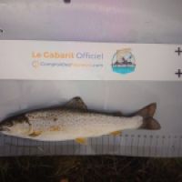 photo prise 9020 par Tib