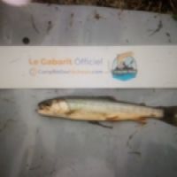 photo prise 9030 par Matcab