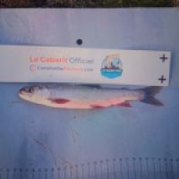 photo prise 9130 par CUEVAS  Alphonse