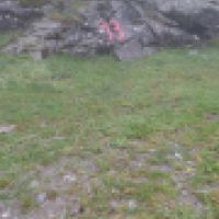 photo prise 9161 par Ray-ben