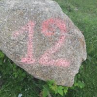 photo prise 9175 par BRICE
