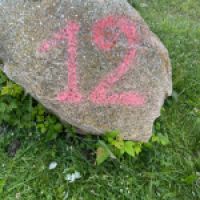 photo prise 9177 par Jonathan