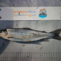 photo prise 9216 par TMV