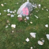 photo prise 9237 par La fesse gauche
