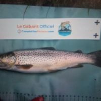 photo prise 9238 par Berthou