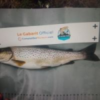 photo prise 9240 par Berthou