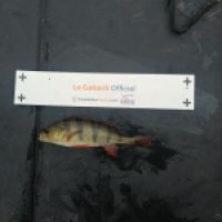 photo prise 9289 par Thierry cheramy