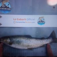 photo prise 9292 par Geoffray 1max2peche