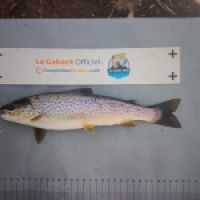 photo prise 9298 par Gillen