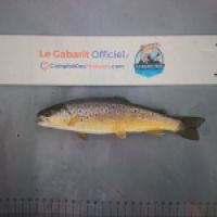 photo prise 9307 par Gillen