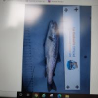photo prise 9314 par totosfishing46