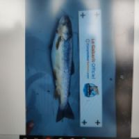 photo prise 9315 par totosfishing46