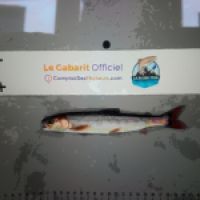 photo prise 9316 par Fabien Godfrin