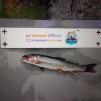 photo prise 9318 par Fabien Godfrin