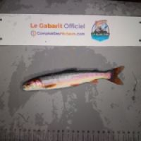 photo prise 9322 par Fabien Godfrin