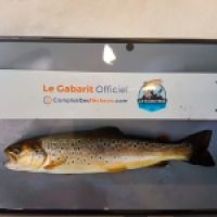 photo prise 9342 par totosfishing46