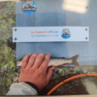 photo prise 9350 par Hugo