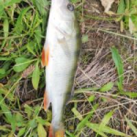 photo prise 9398 par Tomfish09