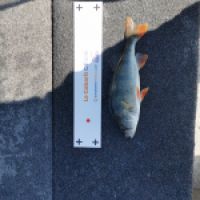 photo prise 9996 par dmz_fishing 