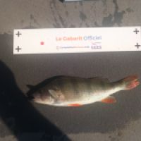 photo prise 10006 par dmz_fishing 