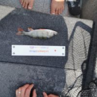 photo prise 10030 par dmz_fishing 