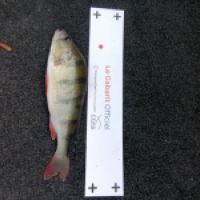 photo prise 10046 par dmz_fishing 