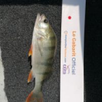 photo prise 10061 par dmz_fishing 
