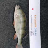 photo prise 10063 par dmz_fishing 