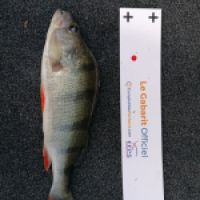 photo prise 10064 par dmz_fishing 