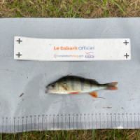 photo prise 10157 par LYLIAN GALLET