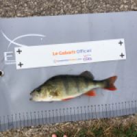 photo prise 10237 par Arnaud Devey