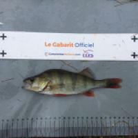 photo prise 10240 par BASTIEN BELTRAMI