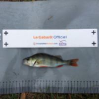 photo prise 10250 par BASTIEN BELTRAMI
