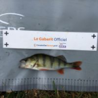 photo prise 10258 par BASTIEN BELTRAMI