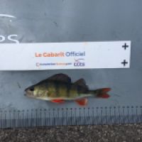 photo prise 10273 par BASTIEN BELTRAMI