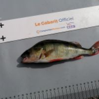 photo prise 10302 par Maloya Ziket