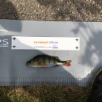 photo prise 10336 par Lefranc Thomas