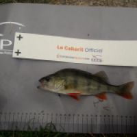 photo prise 10361 par JEAN RENE DENNETIERE