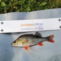 photo prise 10741 par Maloya Ziket