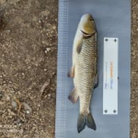 photo prise 10769 par ULfishinglifestyle