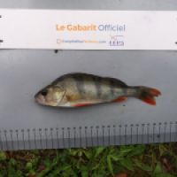 photo prise 10818 par Pepito