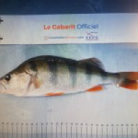 photo prise 10836 par Gab_bnt