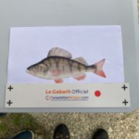 photo prise 11000 par Loic
