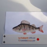 photo prise 11007 par Loic