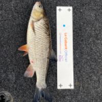 photo prise 11197 par Un breton à la pêche